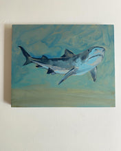 Load image into Gallery viewer, Tiger Shark