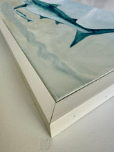 Load image into Gallery viewer, Wandering Shark