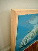 Load image into Gallery viewer, No-Fin To Lose