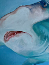 Load image into Gallery viewer, Hammerhead Shark: Tenacity