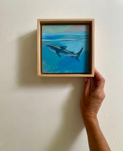 Load image into Gallery viewer, Tiger Shark: Nassau