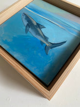 Load image into Gallery viewer, Tiger Shark: Nassau