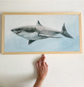 Approachable Great White