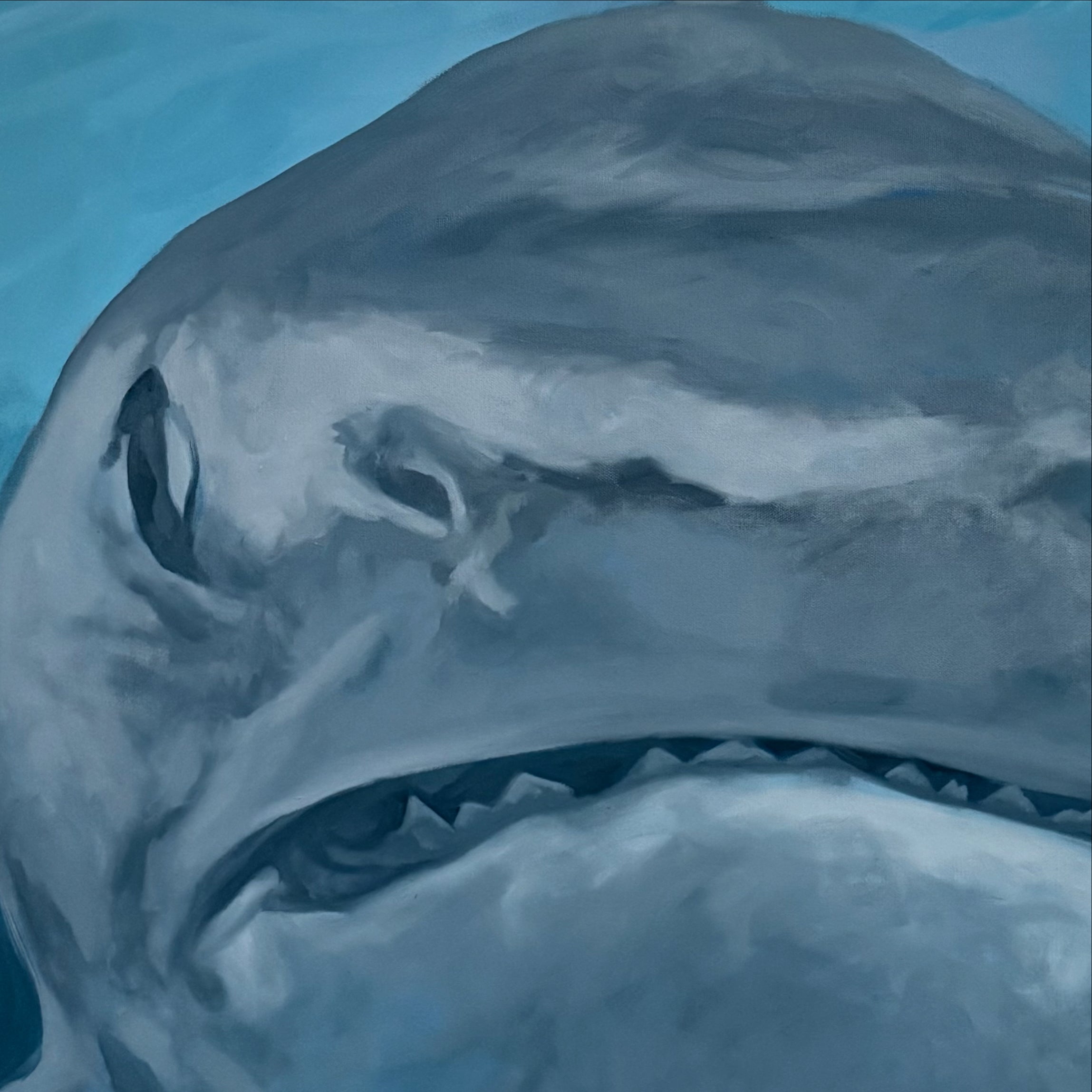 Great White Confrontation