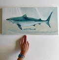 Wandering Shark