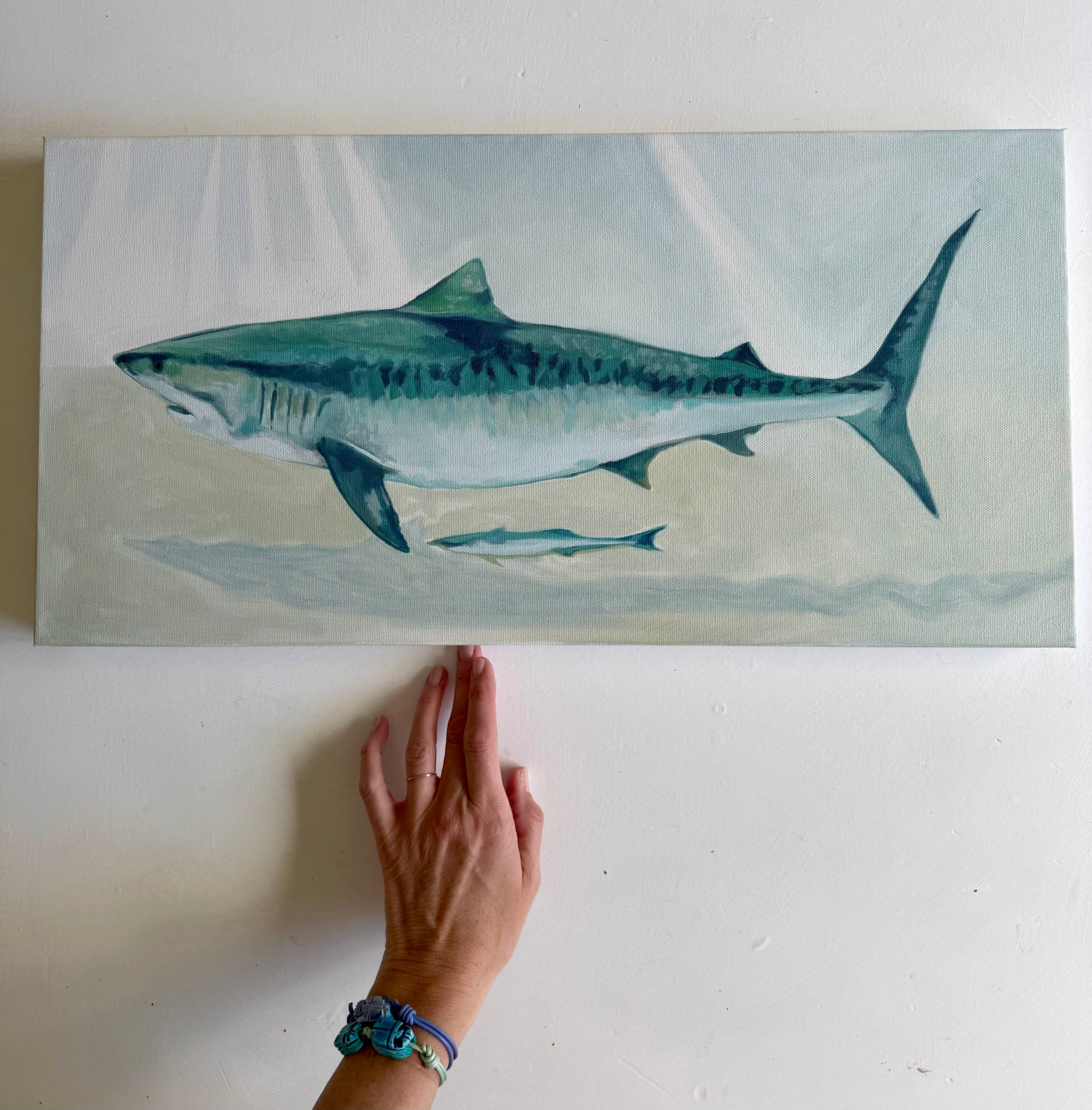 Wandering Shark