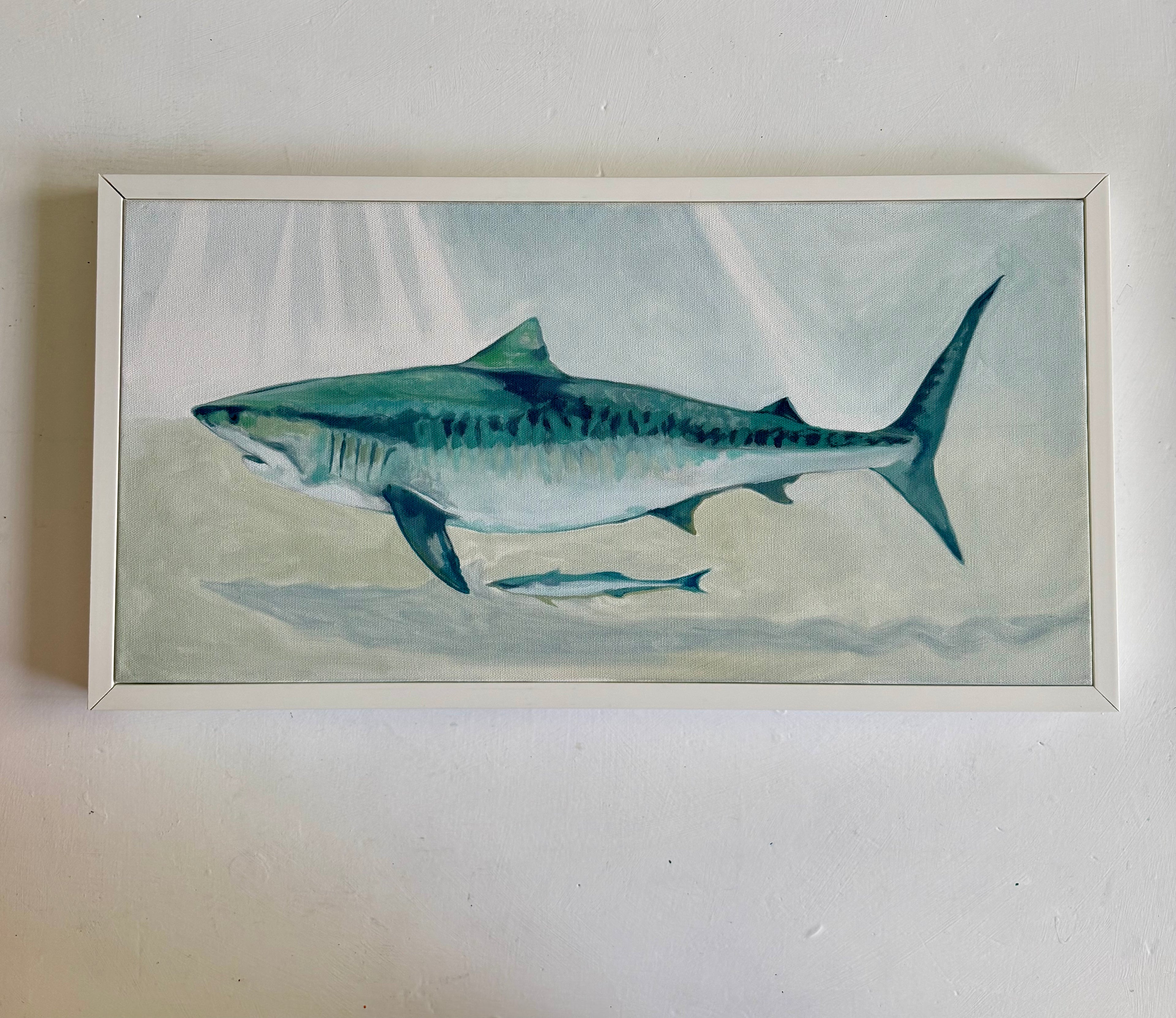 Wandering Shark