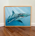 Hammerhead: Avoid Eye Contact