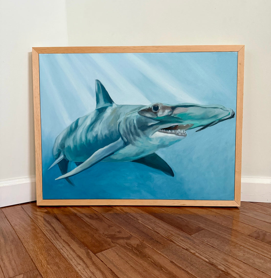 Hammerhead: Avoid Eye Contact