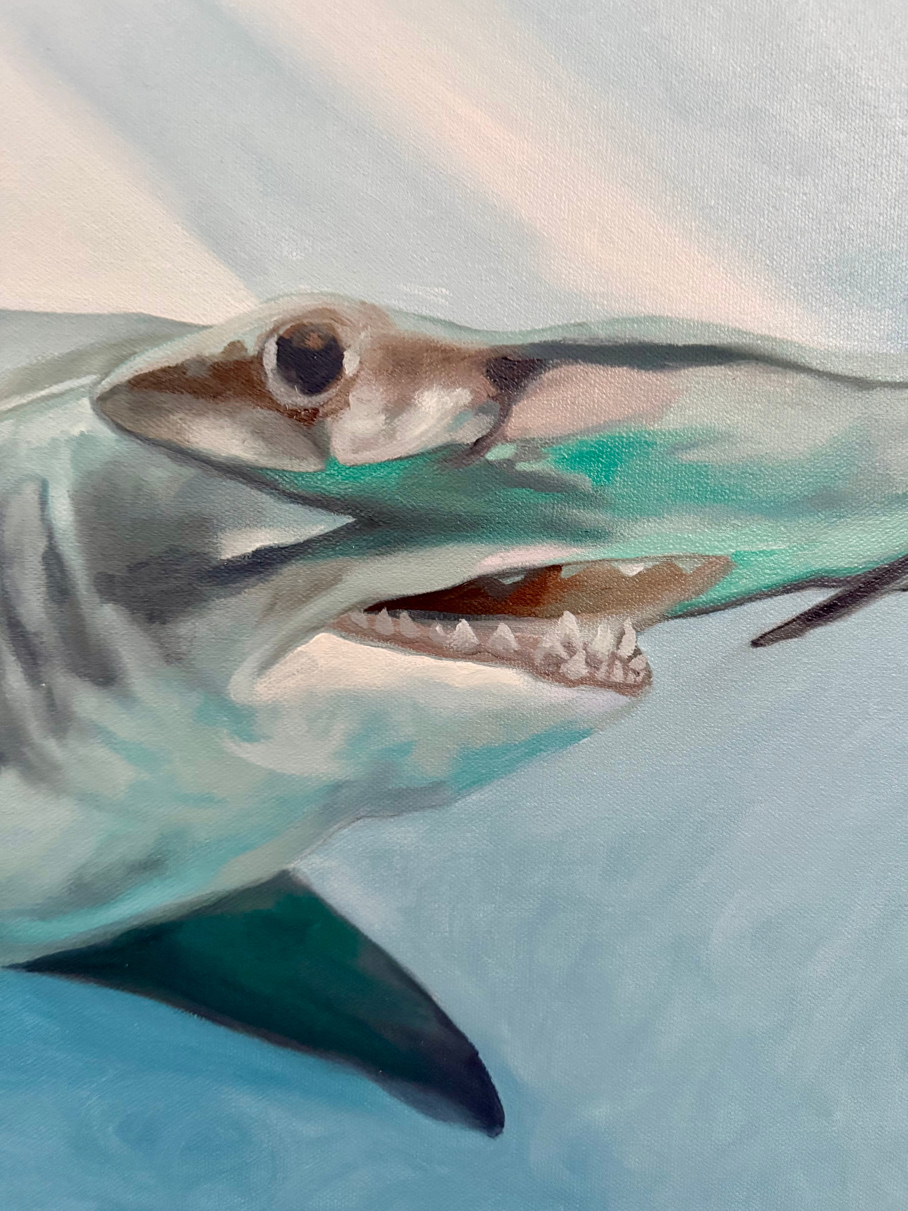 Hammerhead: Avoid Eye Contact