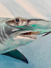Load image into Gallery viewer, Hammerhead: Avoid Eye Contact
