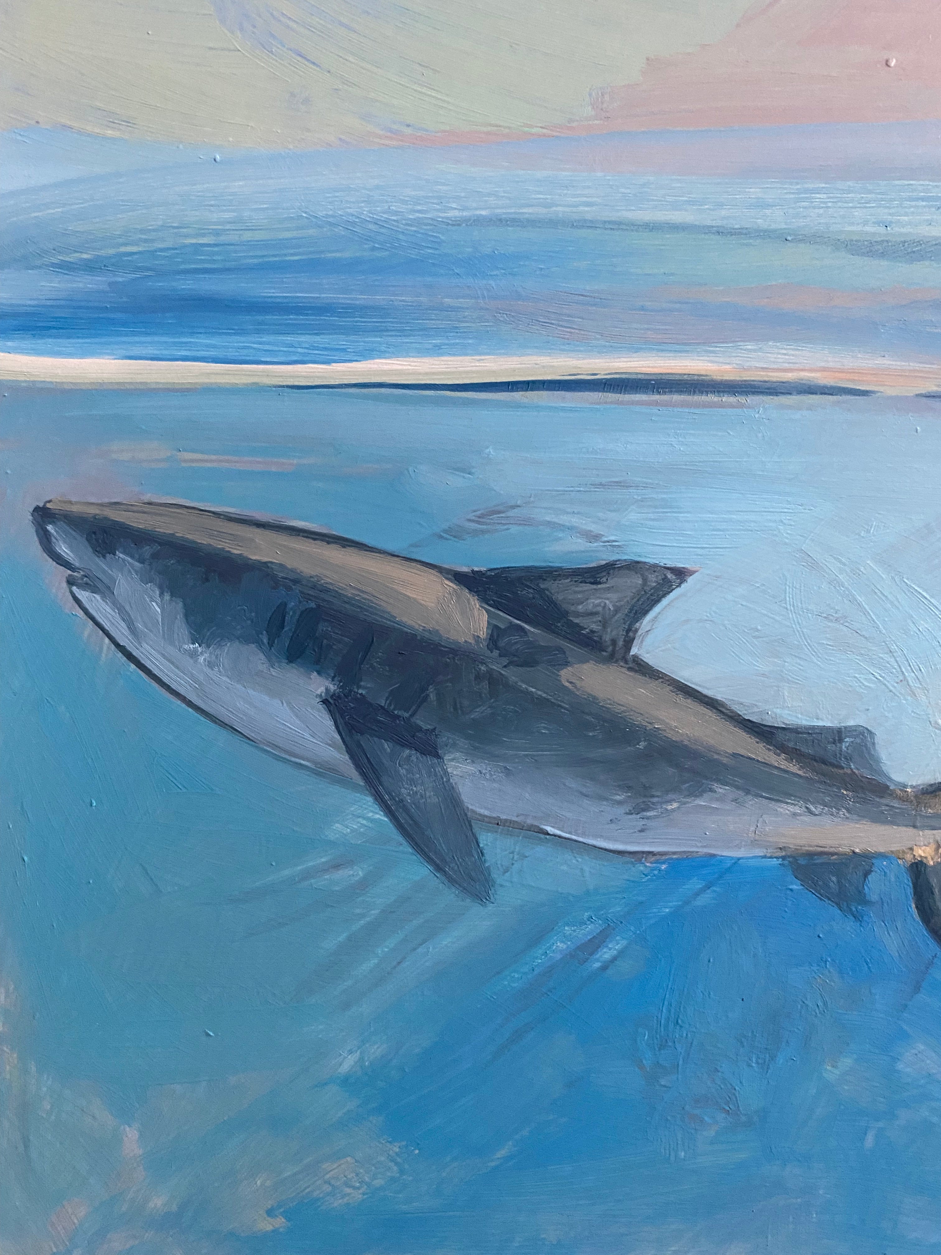 Tiger Shark: Nassau