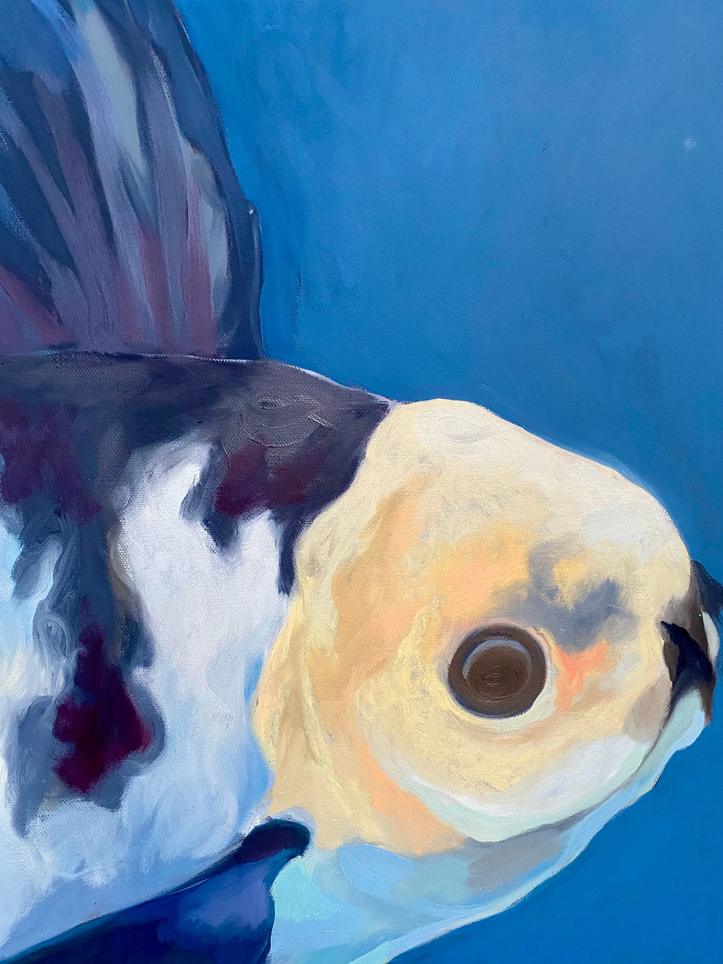 Bluey Fish