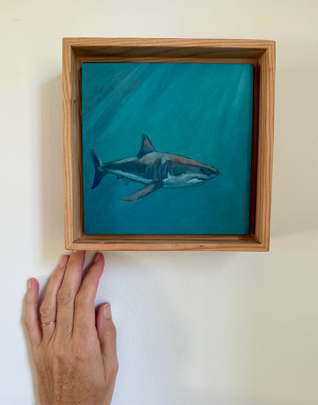 Great White VI