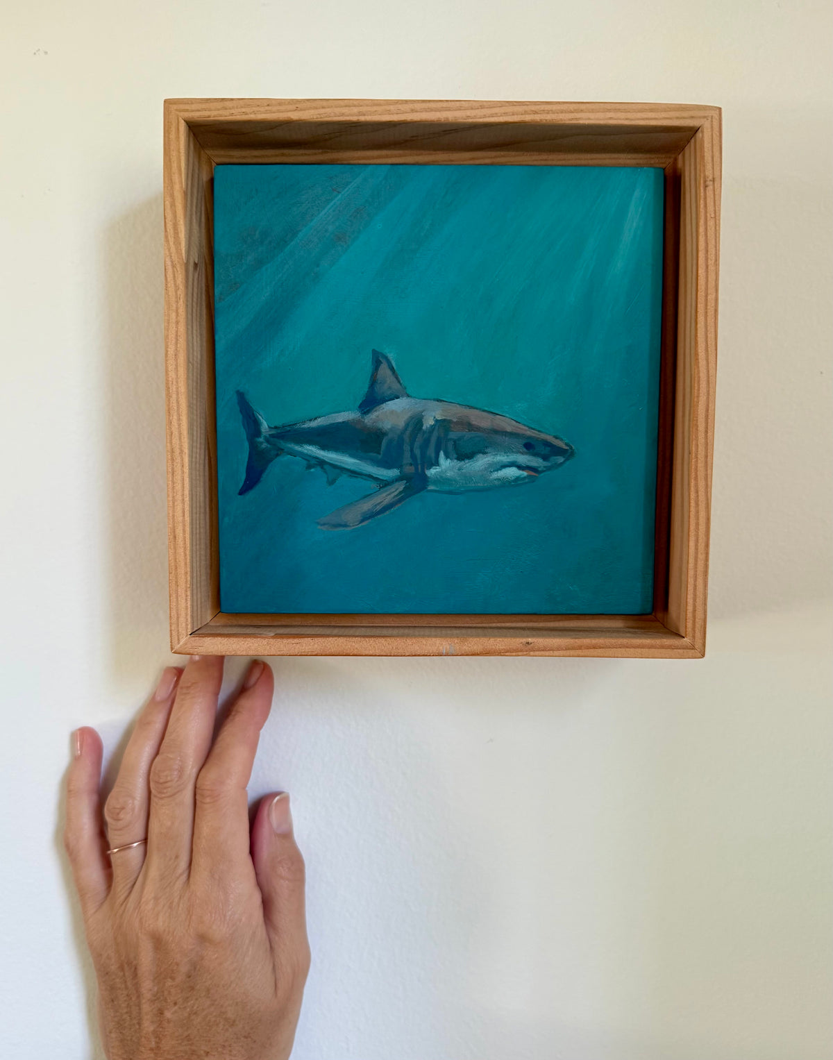 Great White VI