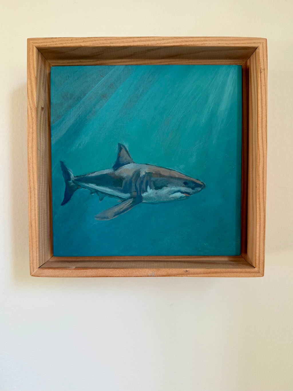 Great White VI