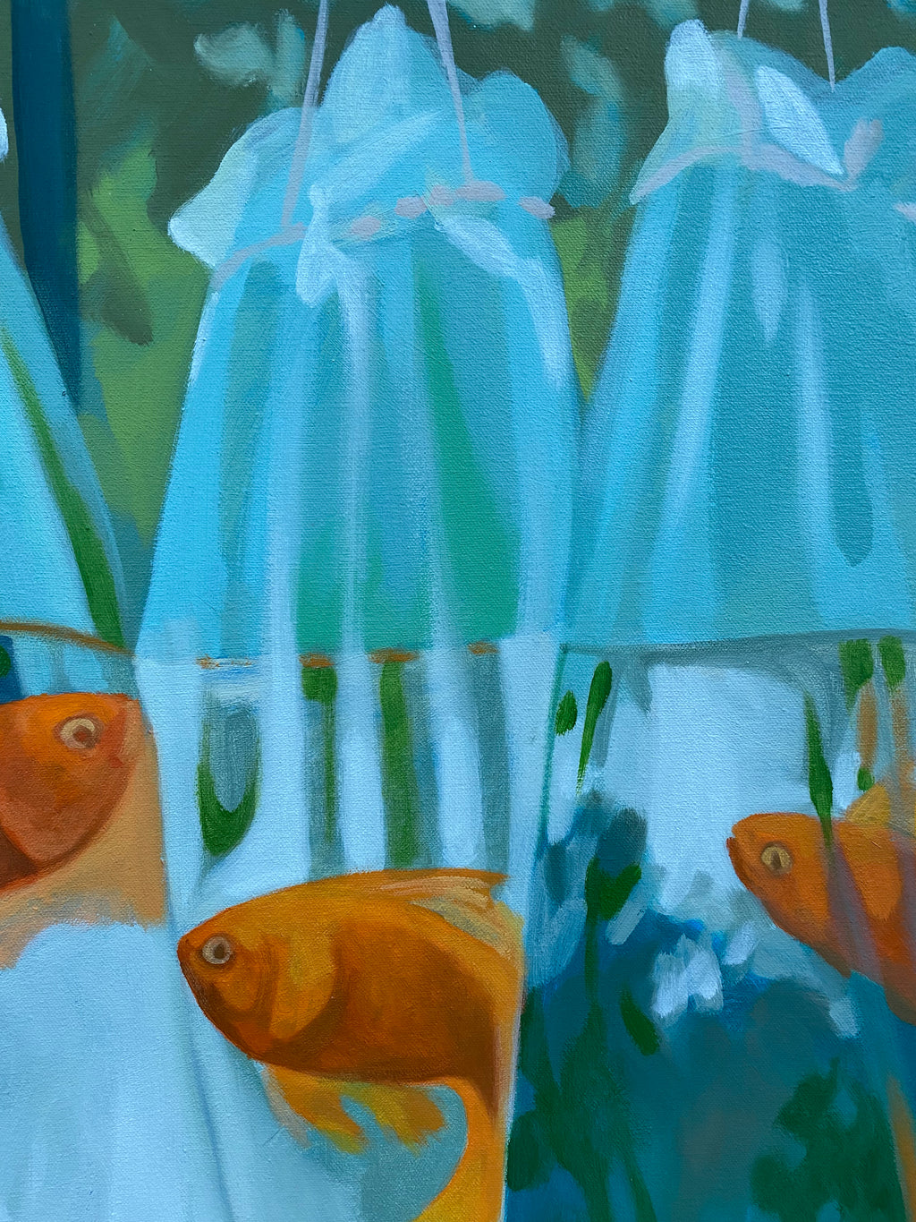 Which Fish Is Going Home?