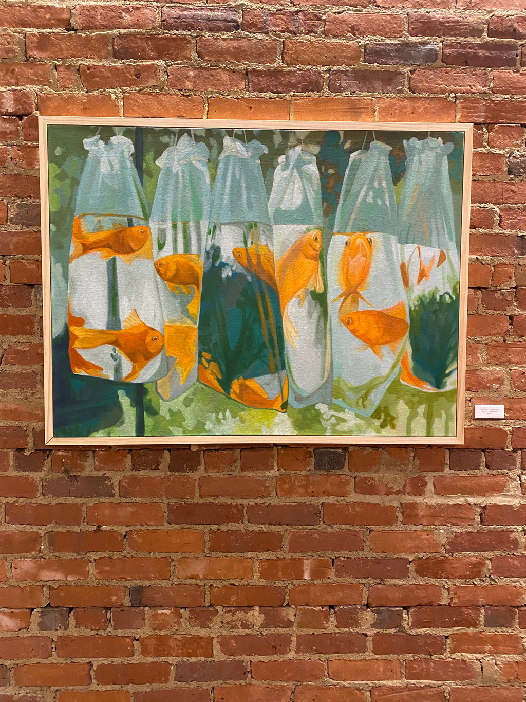 Which Fish Is Going Home?